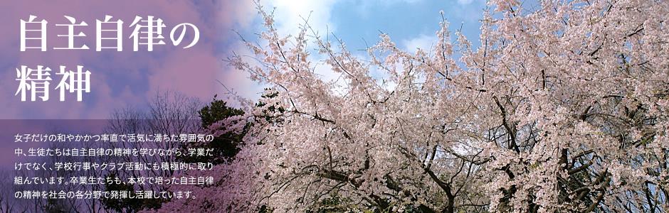 凯发正规官方入口